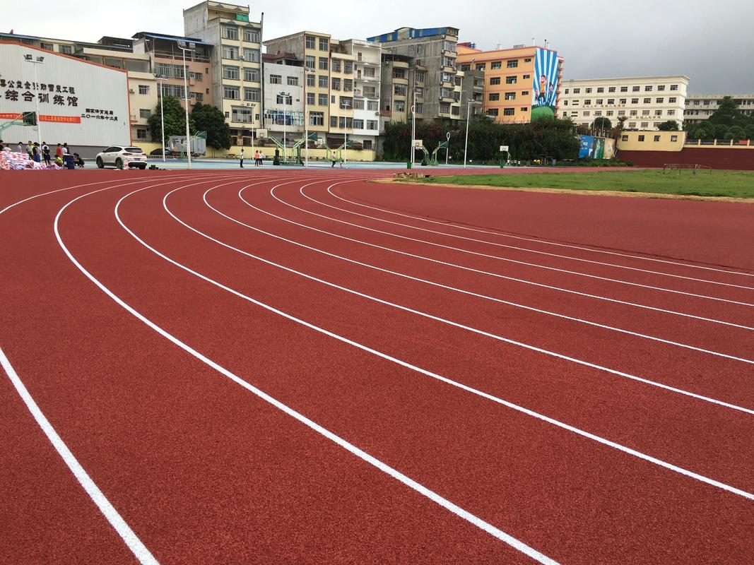 延安市EPDM颗粒塑胶跑道材料 - 排名